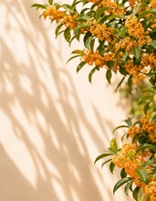 右側に金木犀の花と葉を集め、左側に余白を残した実際の販売作品